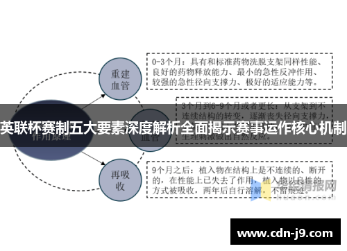 英联杯赛制五大要素深度解析全面揭示赛事运作核心机制 英联杯赛制五大要素深度解析全面揭示赛事运作核心机制