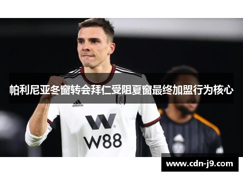 帕利尼亚冬窗转会拜仁受阻夏窗最终加盟行为核心